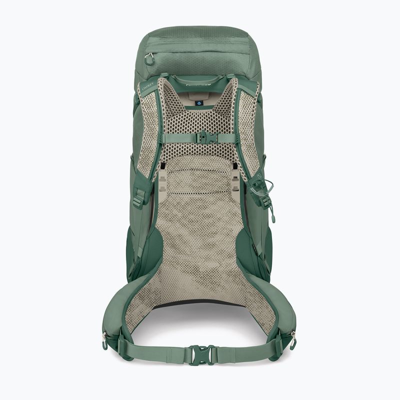 Herren-Trekkingrucksack Osprey Stratos 44 l pine leaf 3
