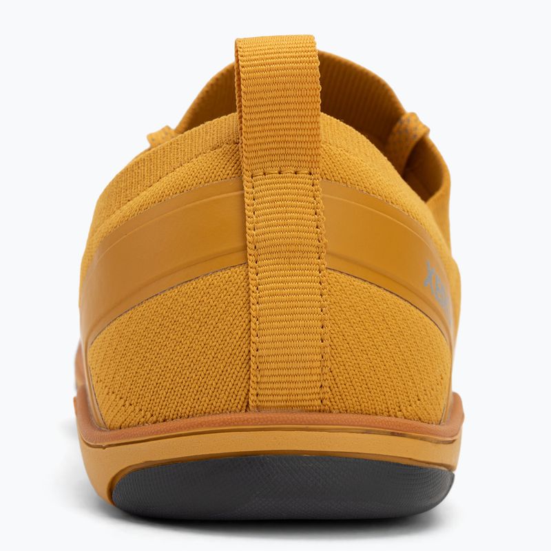 Herren Barfußschuhe Xero Shoes Nexus Knit gold 6