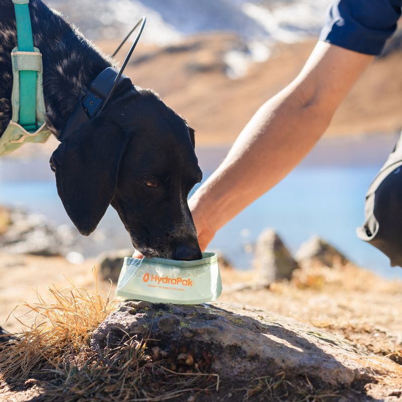 Hundenapf HydraPak Rover sutro green 6