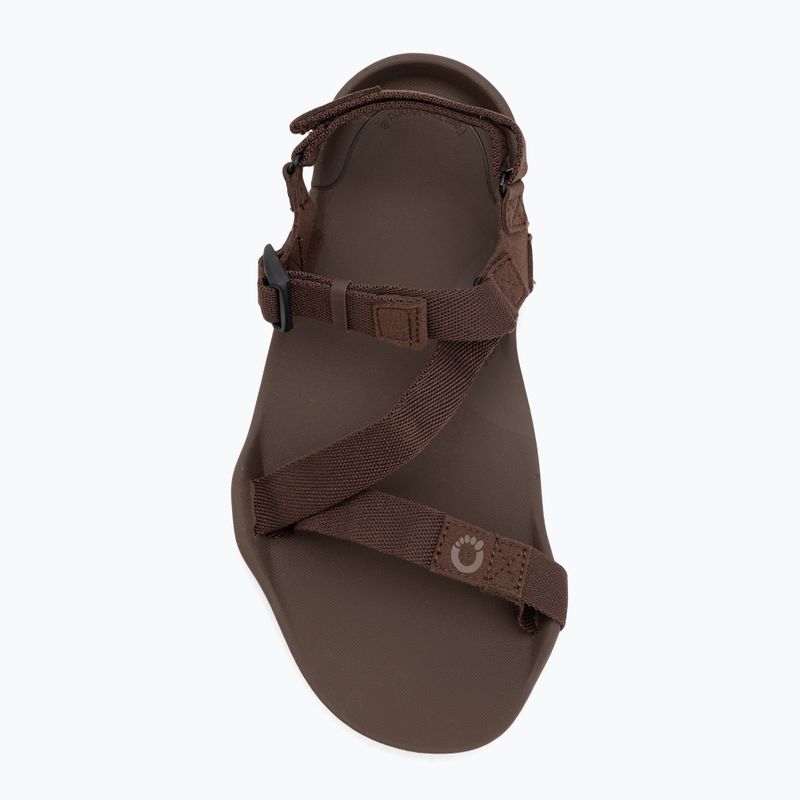Herren Barfußsandalen Xero Schuhe Z-Trek braun 5