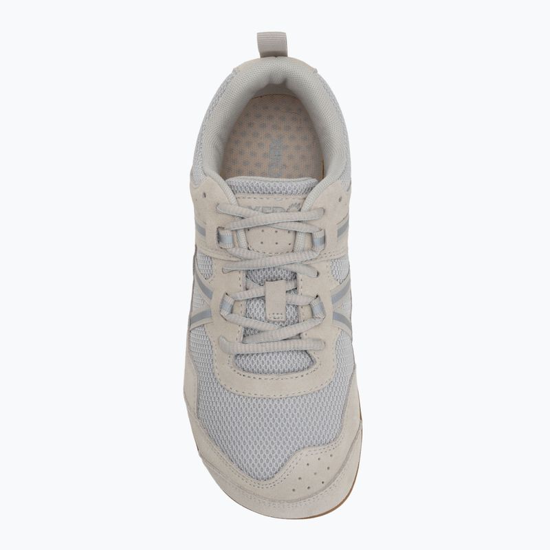 Damen Barfußschuhe Xero Shoes Prio Suede leise grau 5