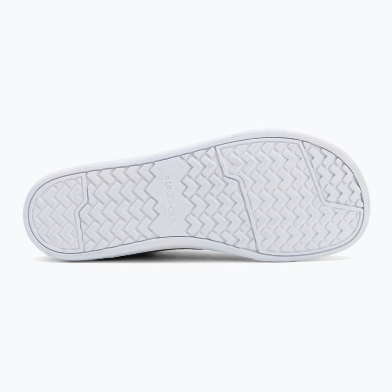 Herren Barfußschuhe Xero Schuhe Dillon Legierung 4