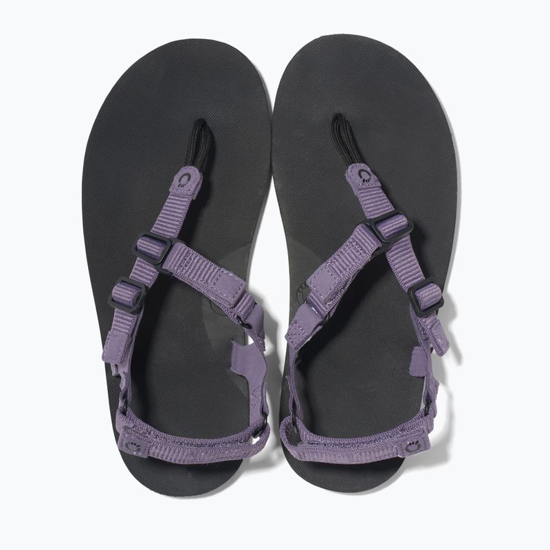Damen Barfußsandalen Xero Shoes H-Trail Salbei lila 6
