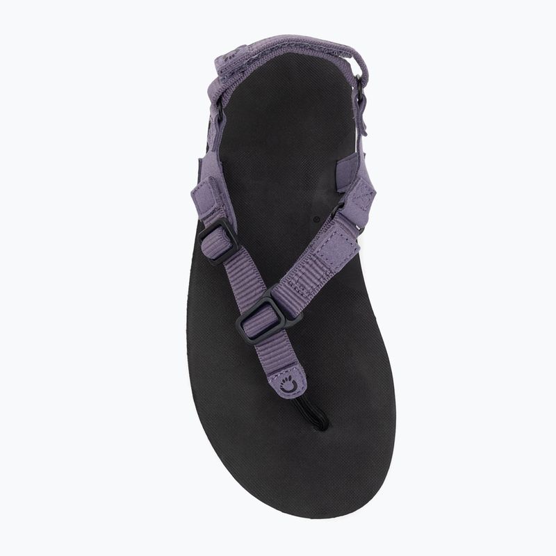 Damen Barfußsandalen Xero Shoes H-Trail Salbei lila 5