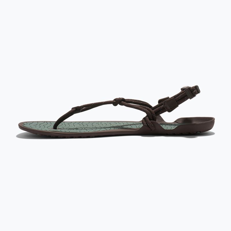 Barfußsandalen Herren Xero Shoes Aqua Cloud java/brown/dark/forest 2