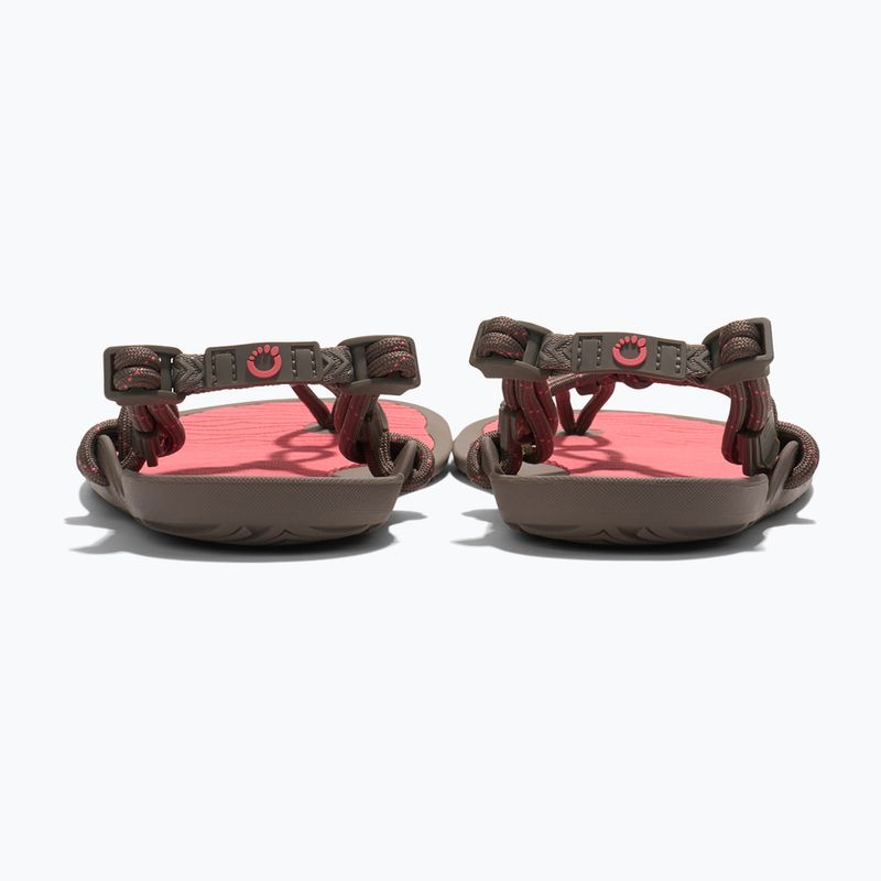 Damen Barfußsandalen Xero Shoes Aqua Cloud moel/sunet coral 6