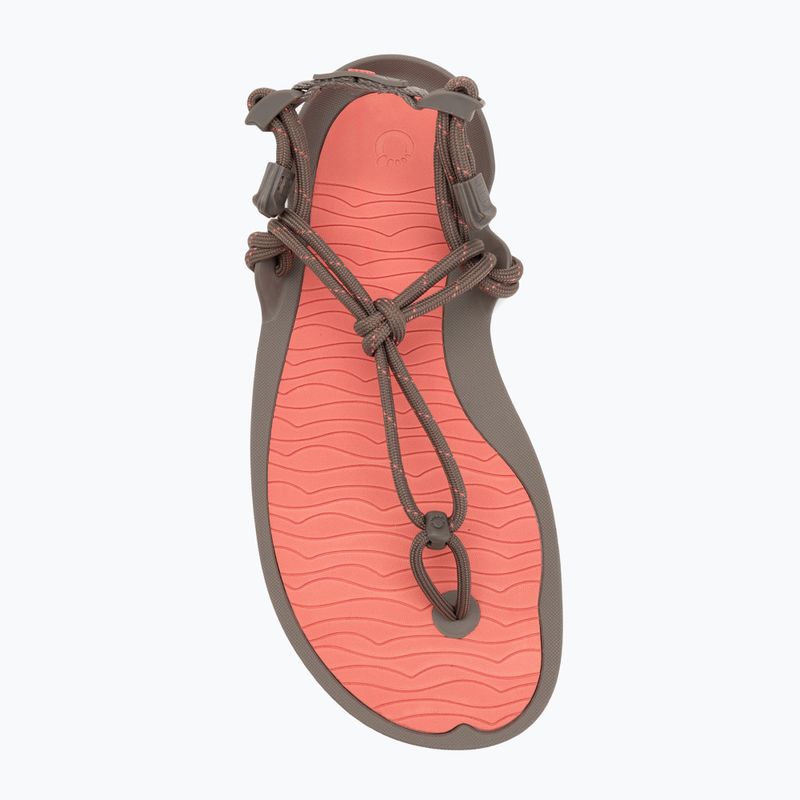 Damen Barfußsandalen Xero Shoes Aqua Cloud moel/sunet coral 5