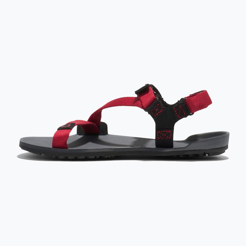 Barefoot Kinderschuhe Xero Z-Trail anthrazit/roter Pfeffer Sandalen 2