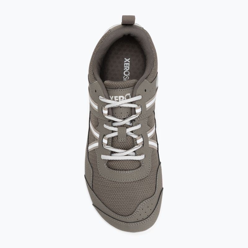 Herren Barfußschuhe Xero Shoes Prio fallen / rock 5