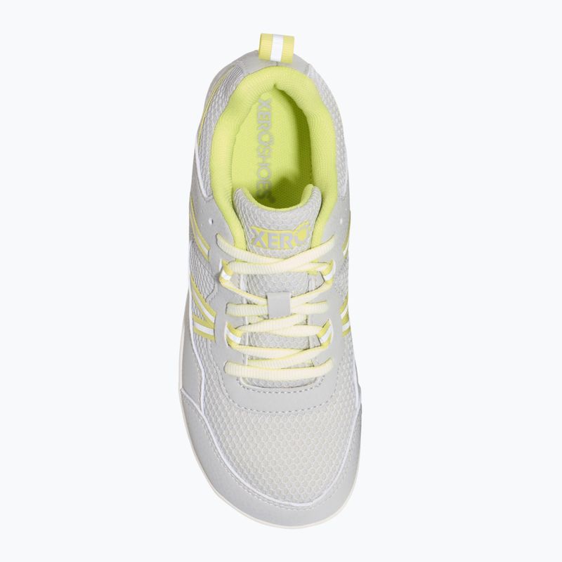 Barfußschuhe Kinder Xero Shoes Prio lunar rock/sunny lime 6