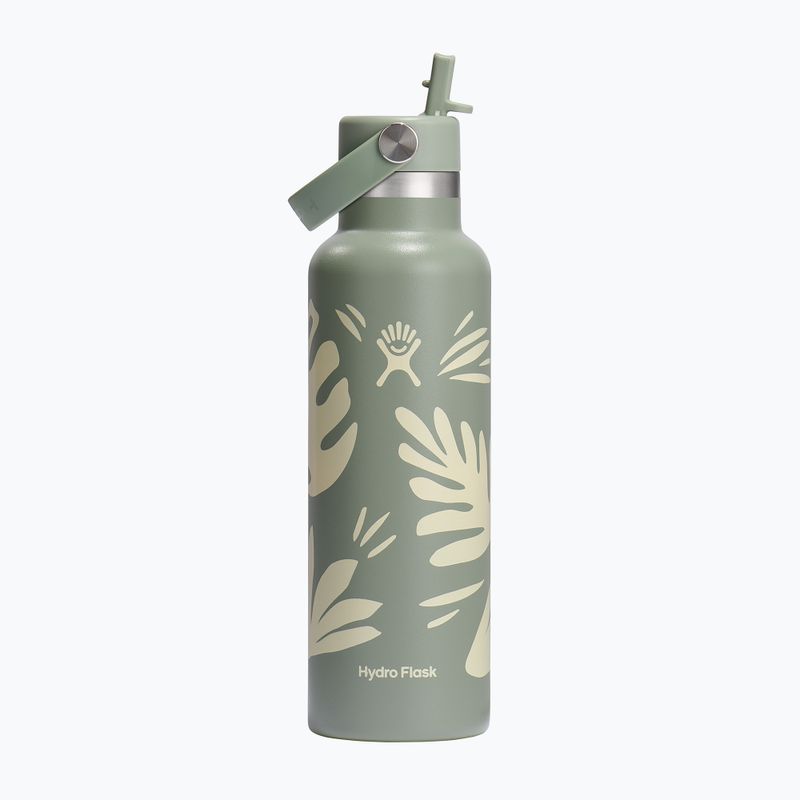 Thermosflasche Hydro Flask Standard Flex Straw 620 ml botanical bliss/agave
