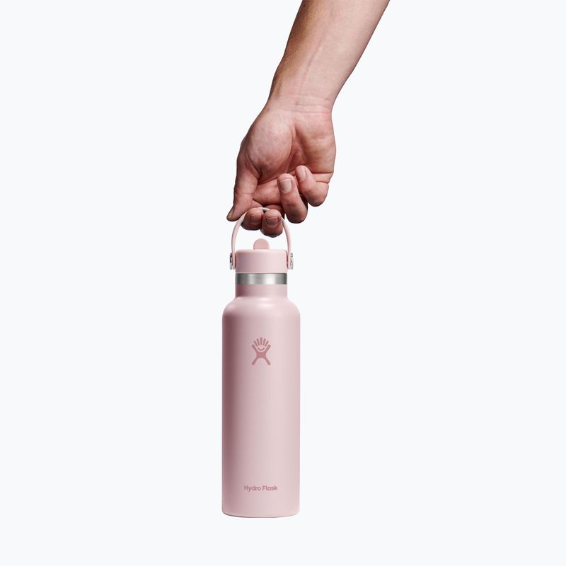 Thermoflasche Hydro Flask Standard Flex 621 ml trillium 3