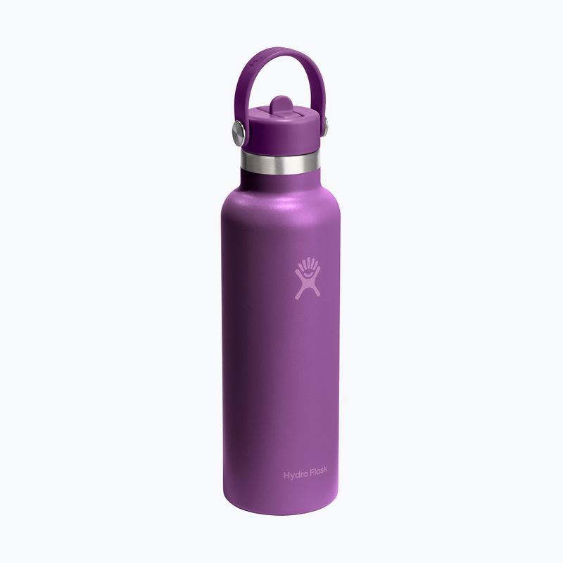 Hydro Flask Standard Flex Straw Thermosflasche 620 ml beachplum 2