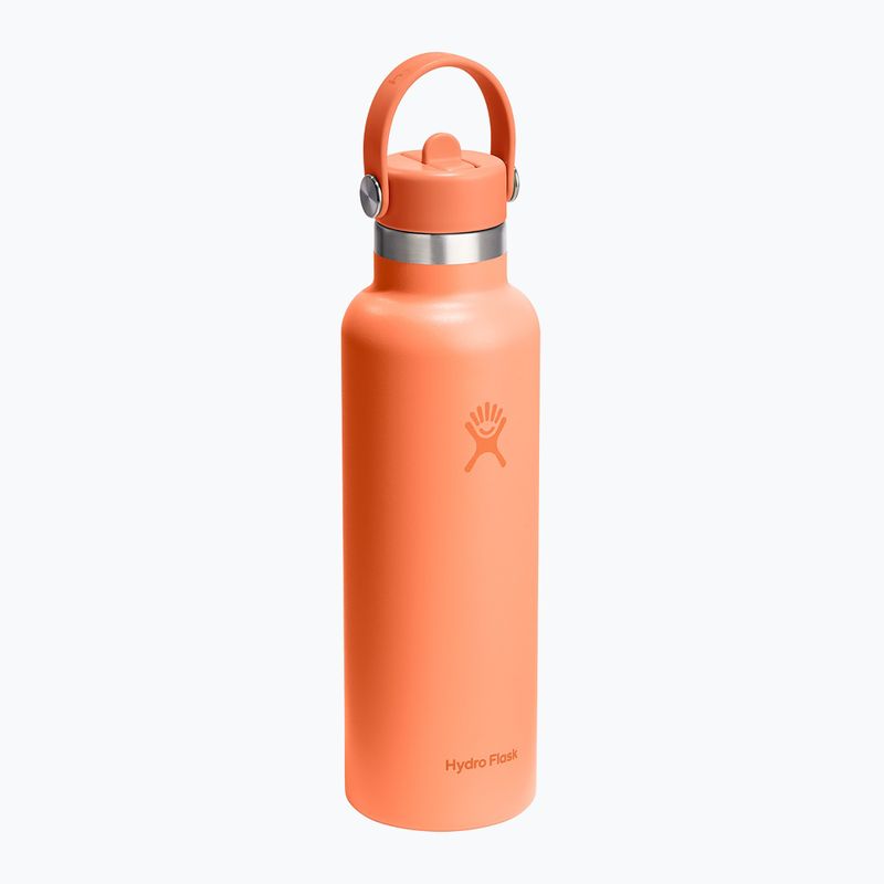 Thermosflasche Hydro Flask Standard Flex Straw 620 ml nectar 2