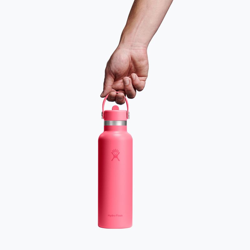 Thermosflasche Hydro Flask Standard Flex 621 ml popstar pink 3