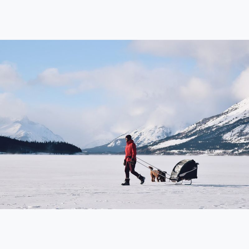 Skiset für Fahrradanhänger Burley Ski Kit 3