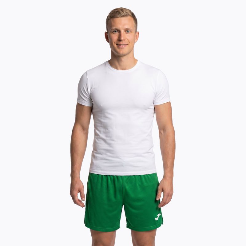 Herren Joma Record II Laufshorts grün 4