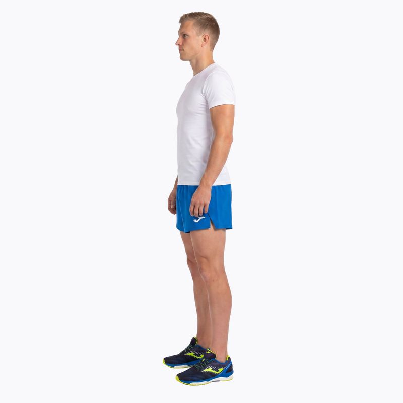 Joma Record II Herren Laufshorts royal 4