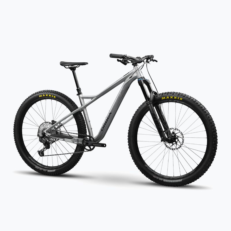 Orbea Laufey H10 Silber Mountainbike M24619LW 2