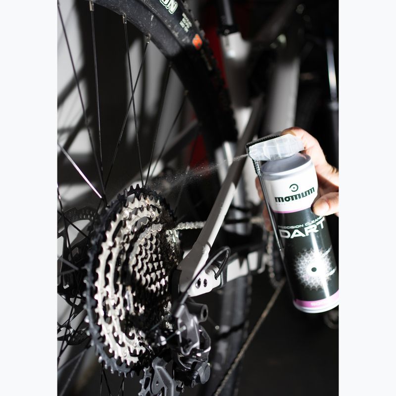 Momum Dart Drivetrain Präzisionsreiniger 500 ml 6
