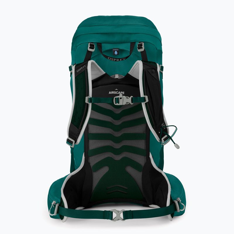 Frauen-Trekking-Rucksack Osprey Tempest 34 l jasper grün 3