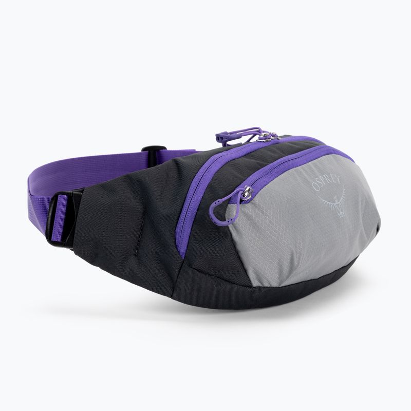 Osprey Daylite Waist 2L grau-violett Hüfttasche 10004202