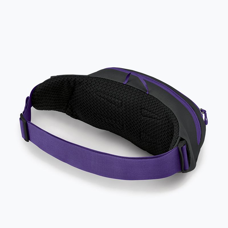 Osprey Daylite Waist 2L grau-violett Hüfttasche 10004202 10