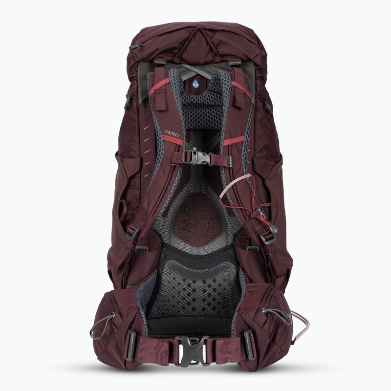 Frauen-Trekking-Rucksack Osprey Kyte 48 elderberry lila 3