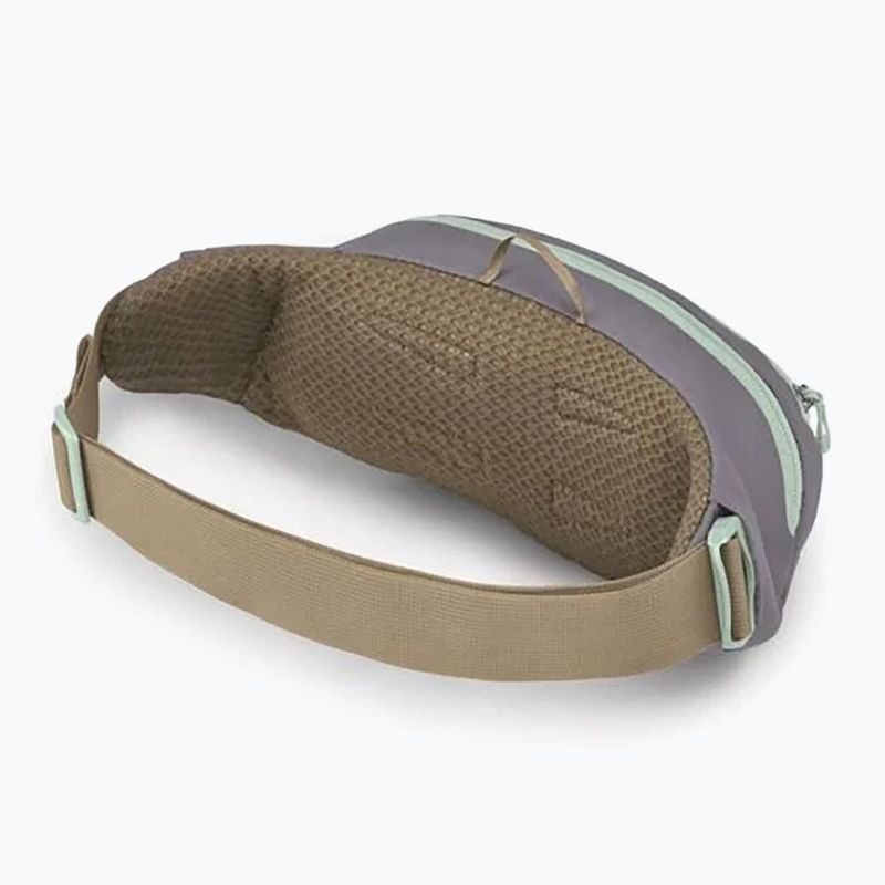 Osprey Daylite Waist 2 l Soundwave grau / latte braun Nierentasche 3