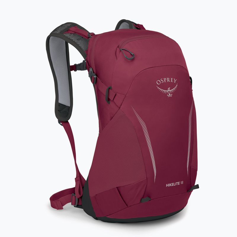 Osprey Hikelite 18 l Wanderrucksack Chamäleon / schwarz 2