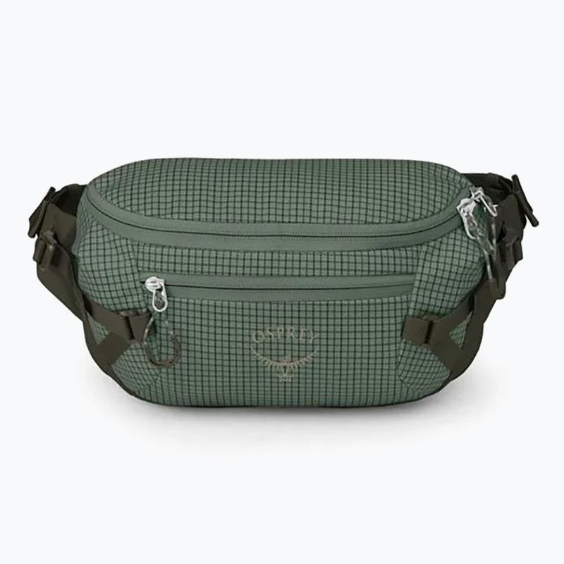 Osprey Transporter Waist Pack 3 l Kiefer Blatt Nierentasche