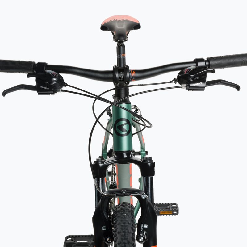 Mountainbike Kellys  Spider 1 29" grün 68864 4