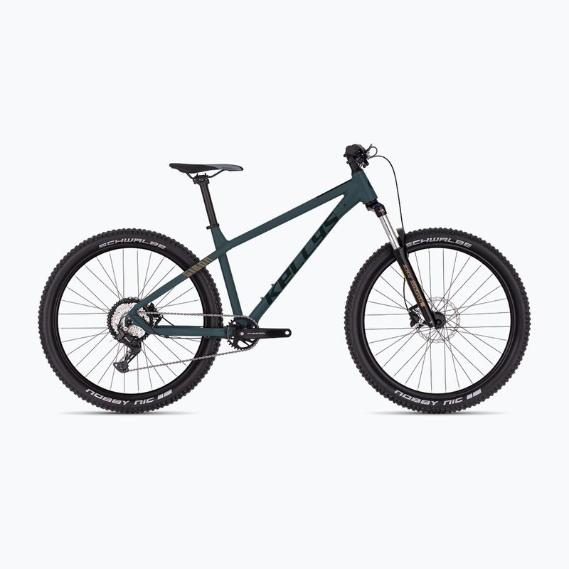Kellys Gibon 05 29" Mountainbike Ebenholz grün