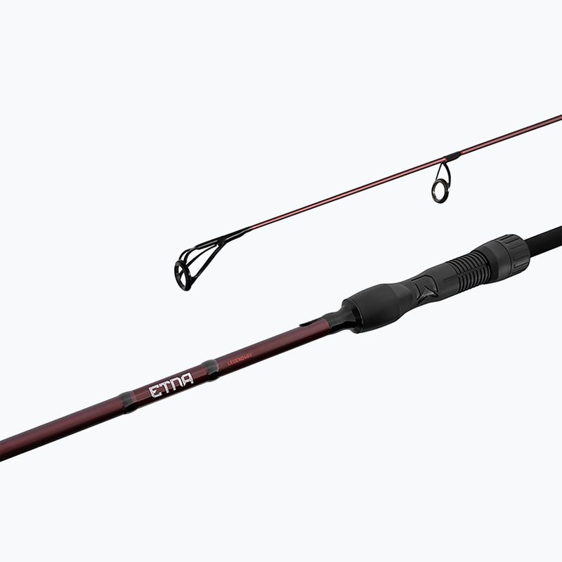 Delphin Etna Leged4ry Karpfenrute 2