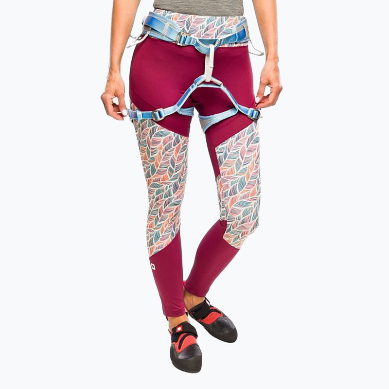 Ocun Twist Tech Eco grau/blau Herren Klettergurt 3