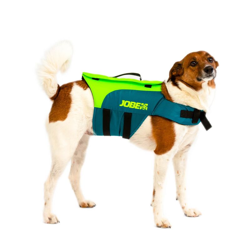 JOBE Pet Vest lime/teal Hundesicherheitsweste 2