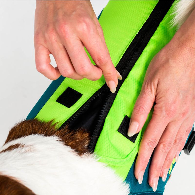 JOBE Pet Vest lime/teal Hundesicherheitsweste 5