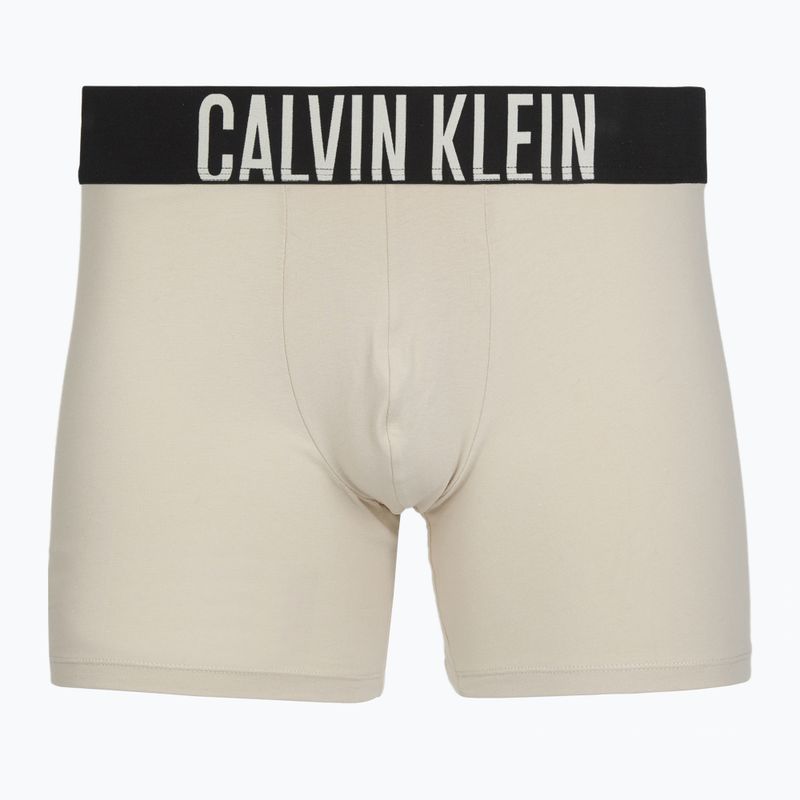 Boxershorts Calvin Klein 000NB3609A Boxer Brief 3 pairs oatmeal/aged redwood/bright turquoise 2