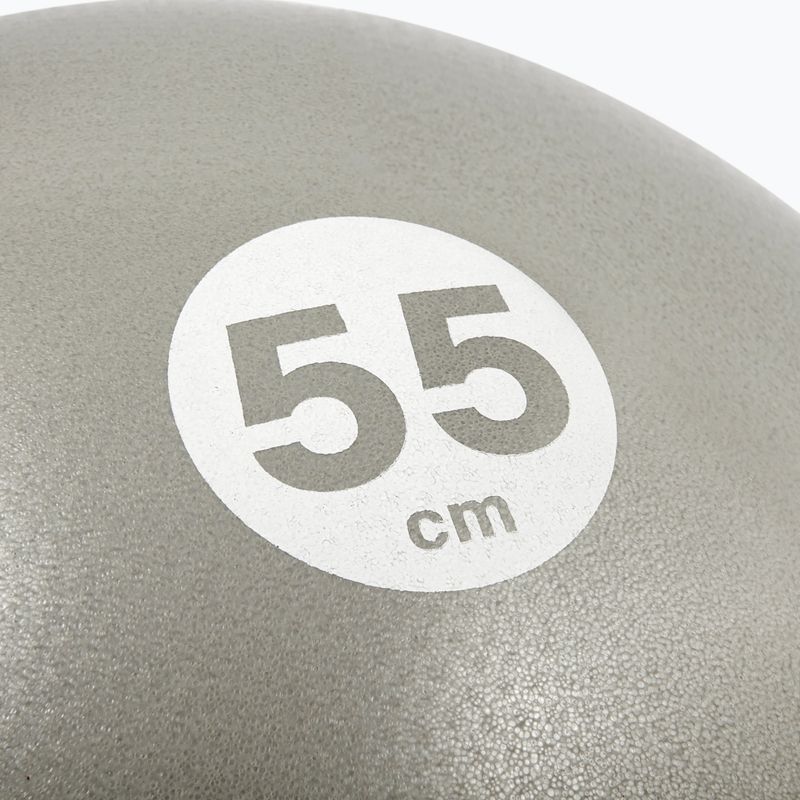Gymnastikball Reebok RAB-40015BK grey 3