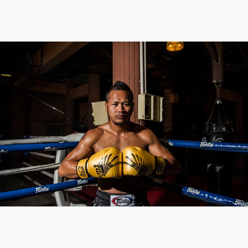 Boxhandschuhe Fairtex Universal "Tight-Fit" Design Falcon gold 2