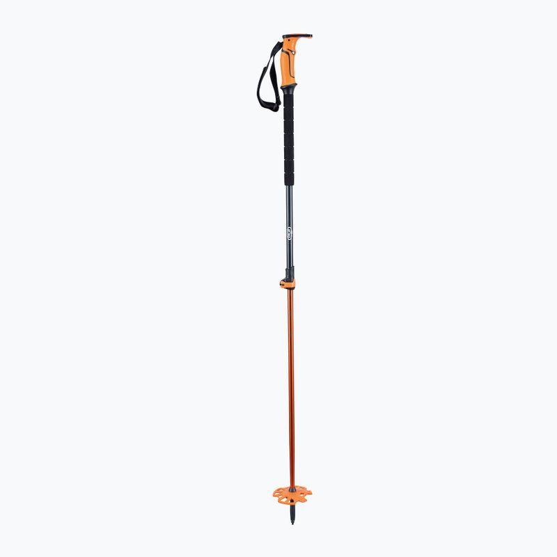 BCA Scepter Alu Skittering Stöcke schwarz und orange 23E0201/11 8