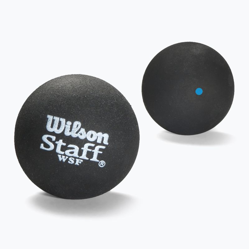 Wilson Staff Ball Blue Dot Squashbälle 3 Stück schwarz.