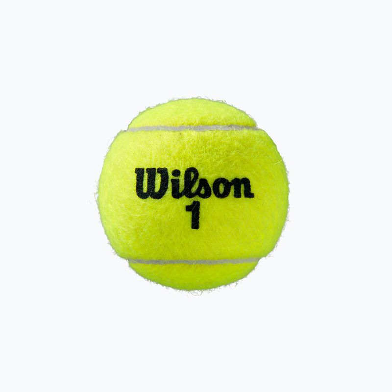 Wilson Roland Garros Clay Ct Tennisbälle 4 Stück gelb WRT115000