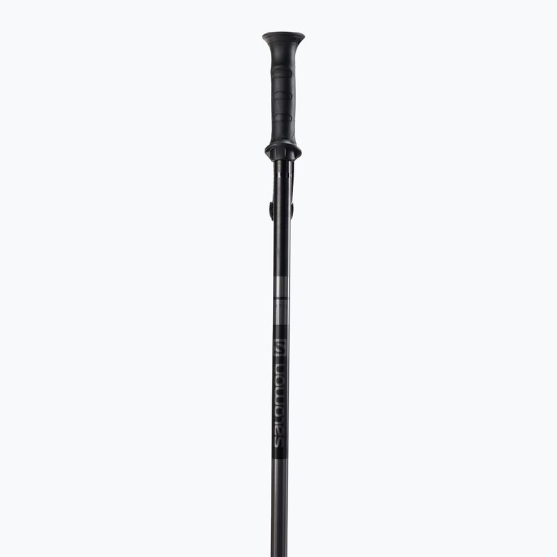 Skistöcke Salomon Arctic schwarz L4559 2
