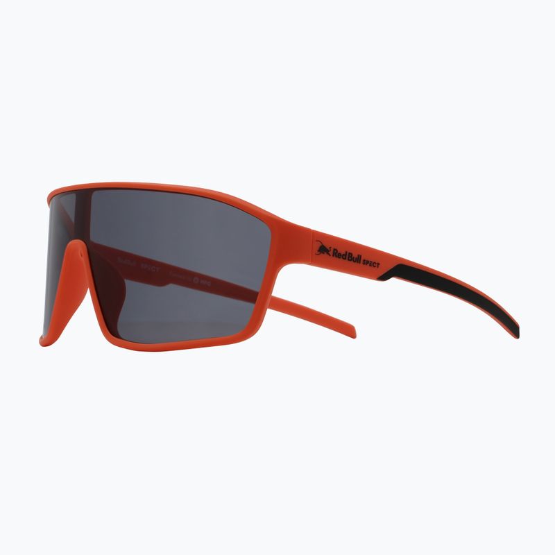 Sonnenbrille Red Bull SPECT Daft grey clear/smoke with blue mirror 2