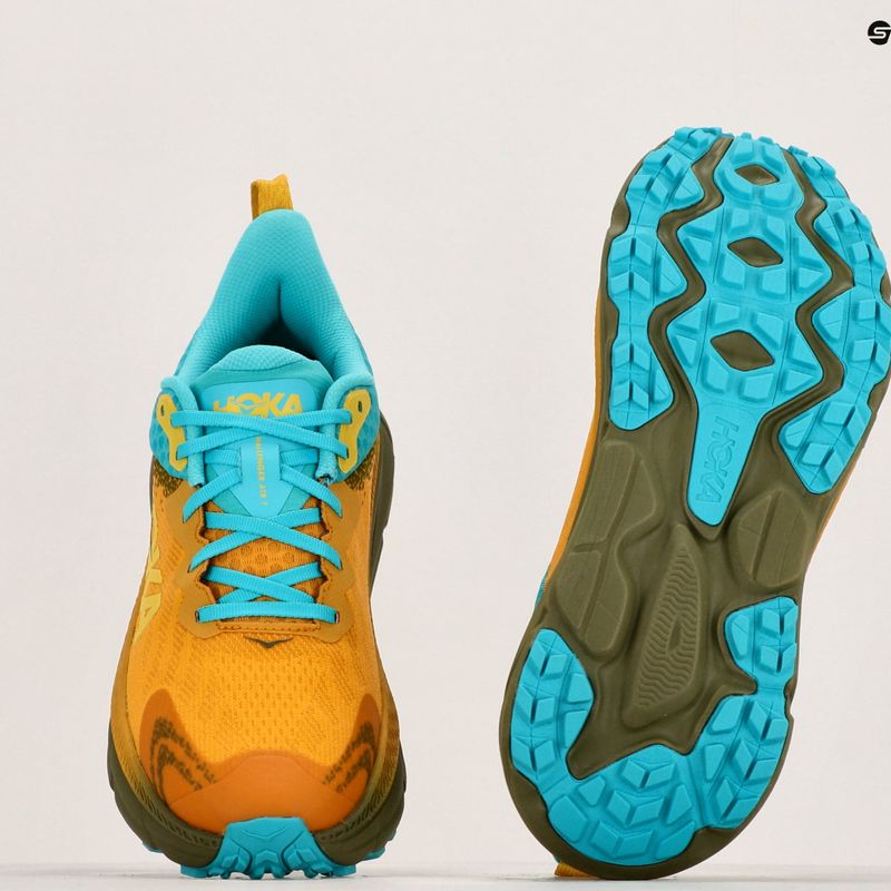 Herren Laufschuhe HOKA Challenger ATR 7 GTX goldgelb/avocado 10