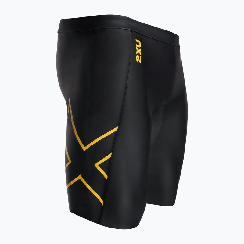 2XU Propel Buoyancy Neoprenshorts schwarz/ambition 9