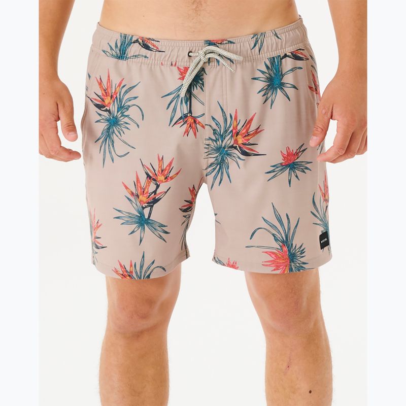 Herren Shorts Rip Curl Paradiso Volley 567 beige 3DMBO 4