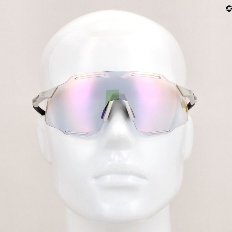 DYNAFIT Alpine Evo nimbus/schwarz aus Sonnenbrille 7