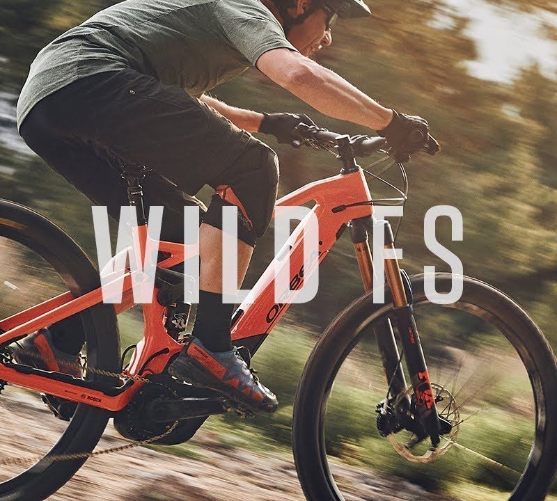Orbea Wild FS H10 silbernes Elektrofahrrad M34718WB 14